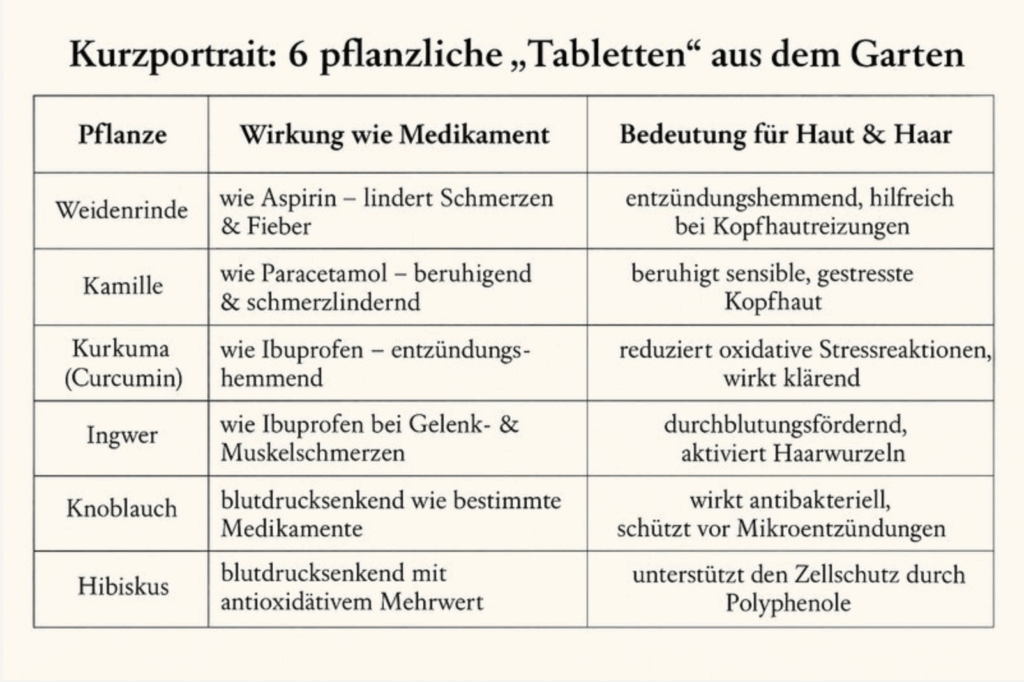 Tabelle für die Wirkung von Heilkräutern